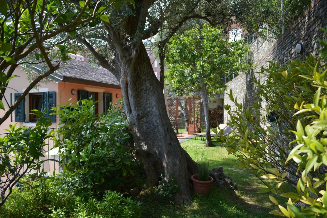 Ca Da Munta Bed And Breakfast アレンツァーノ エクステリア 写真